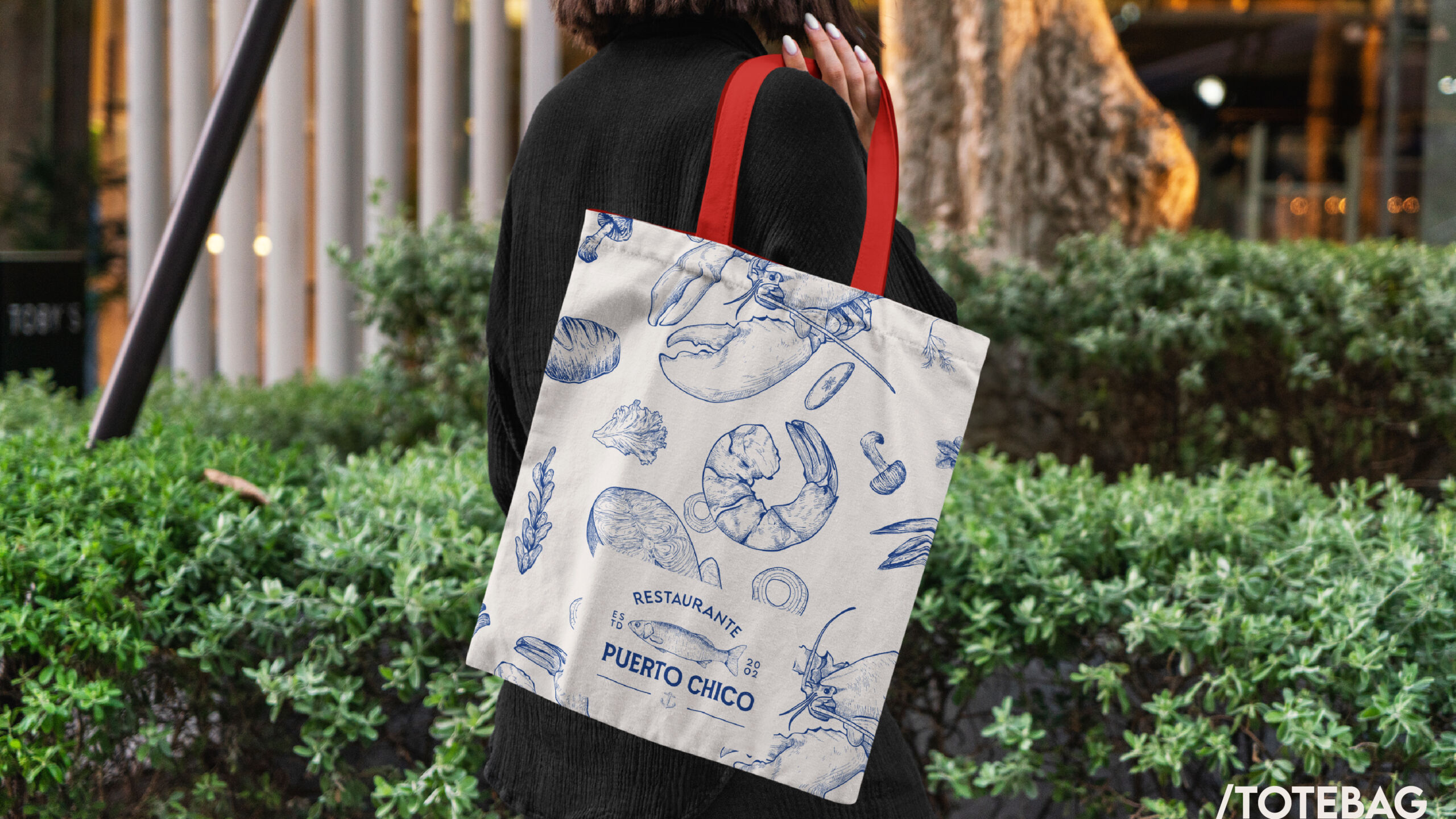 Puerto Chico | Branding